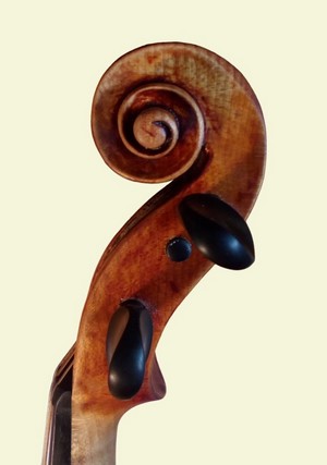 stainer